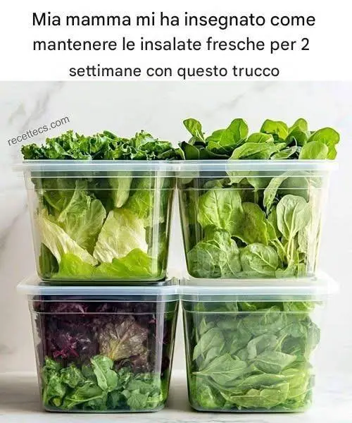 È possibile prolungare la durata di conservazione delle insalate verdi! Ecco il modo migliore per farlo